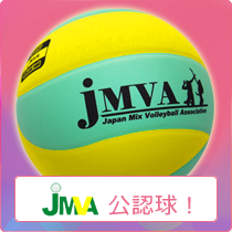 JMVA公認バレーボール